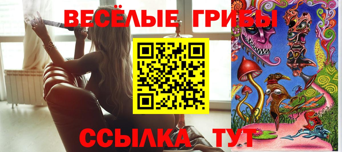 Псилоцибиновые грибы прущие грибы  где продают наркотики  Ярцево  Вход с VPN 