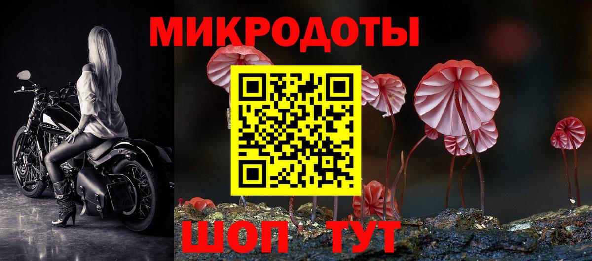Галлюциногенные грибы Ярцево